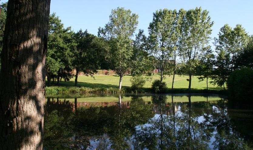 Domaine De Vilotte Panzió Ardenais Kültér fotó